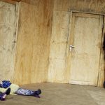 Jorinde Dröse. FURCHT UND HOFFNUNG IN DEUTSCHLAND