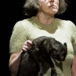 Jorinde Dröse. DER SCHIMMELREITER