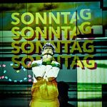 Jorinde Dröse. DAS AUGENLID IST EIN MUSKEL